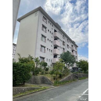油山団地15棟 501号 2LDK画像