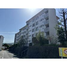 油山団地19棟 206 1SLDK画像2