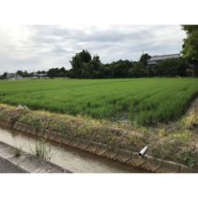 北九州市八幡西区 楠橋下方1丁目 (楠橋駅 ) 住宅用地画像6